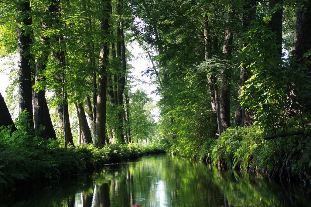 Gutshof Sagritz Golssen Exterior foto